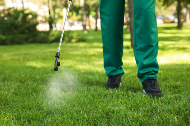 Best Wildlife Control Services  in Cornwall, PA